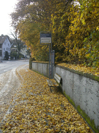 Herbst2009
