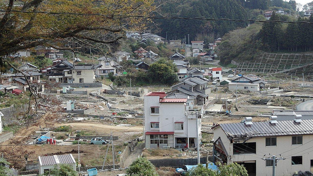 27. Okt Shibitachi, Kesennuma, Miyagi, Foto: Hotate Kajiwara