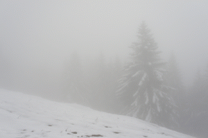 Nebel Regelstein