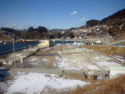 Kesennuma, MIyagi. Januar 2012. Foto: Hotate Kajiwara